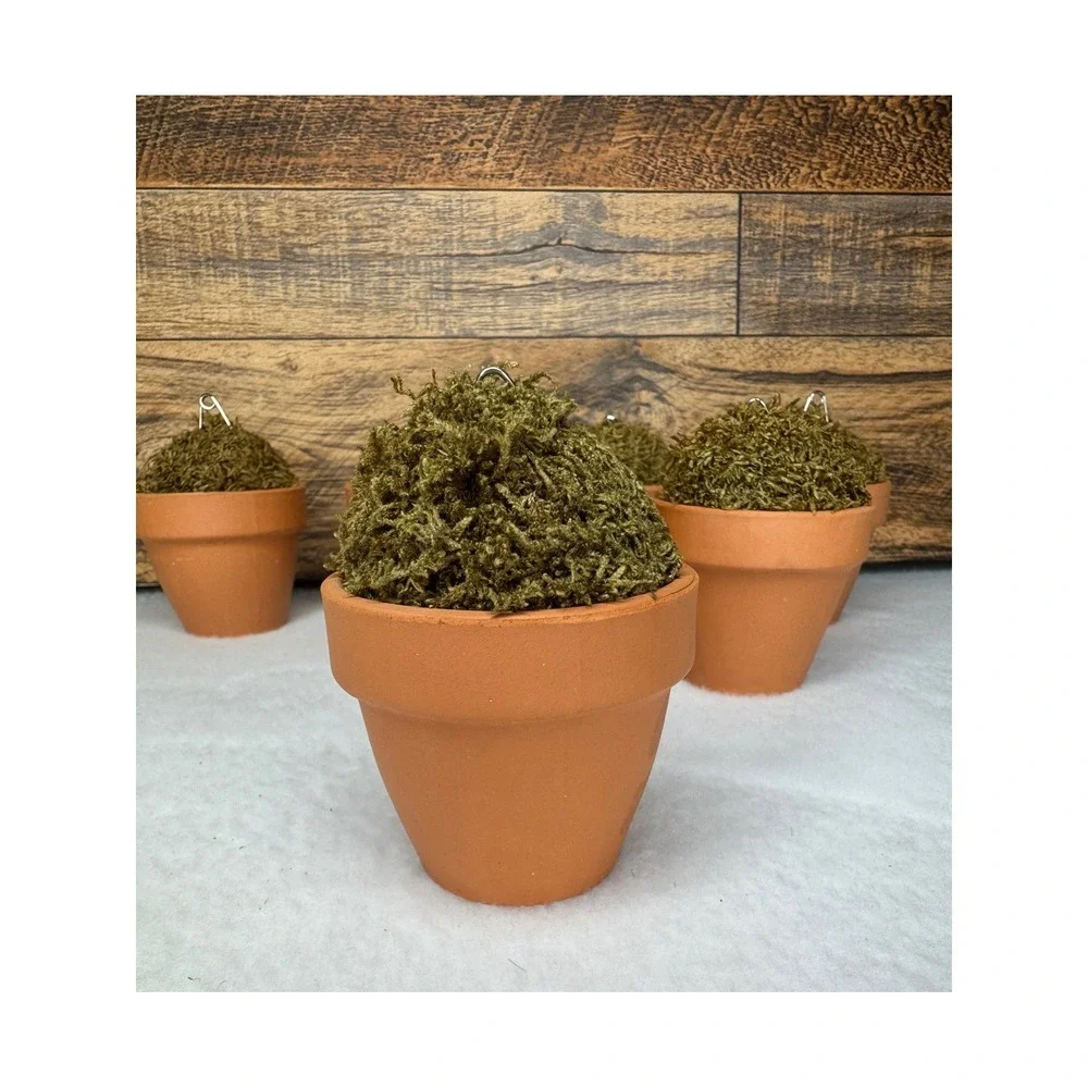 Williams‎ Sonoma Moss Topiary Flower Pot Place Card Holders Set of 7 Terracotta